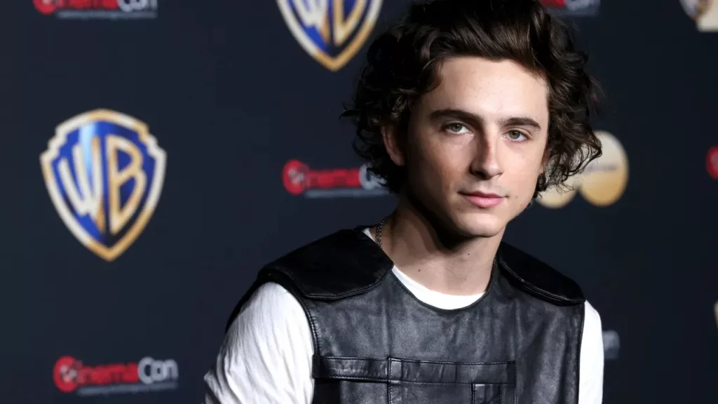 Picture of Timothée Chalamet